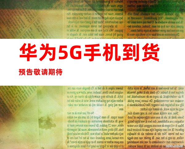传承红色血脉，筑牢Weilink长城